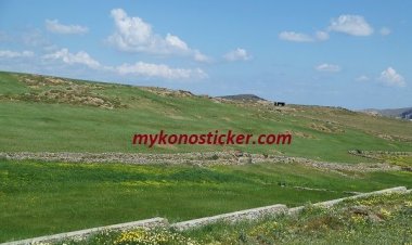 Οι νέες τεχνικές προδιαγραφές για την κατάρτιση των Δασικών Χαρτών