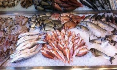 Νέα έκθεση του WWF: Η Ελλάδα εισάγει τα 2/3 των ψαριών που καταναλώνει!