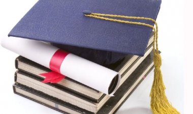 ΣτΕ: Νομικό κενό στον καθορισμό επαγγελματικών δικαιωμάτων αποφοίτων ΑΕΙ