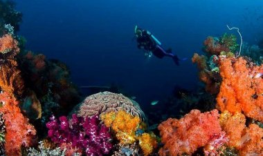 Καταδυτικά πάρκα σε Δωδεκάνησα και Κυκλάδες με χρηματοδότηση του Ευρωπαϊκού προγράμματος Ελλάδα-Κύπρος