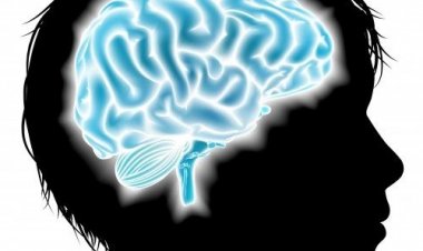 Ο εφηβικός εγκέφαλος δεν μπορεί να ξεχωρίσει τα ασήμαντα από τα σημαντικά