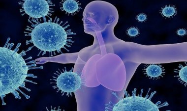 Πειραματική ανοσοθεραπεία εξαφανίζει όγκους και μεταστάσεις