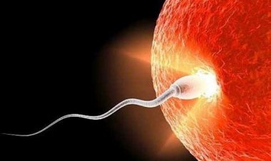 Ελπίδες επέκτασης της γυναικείας γονιμότητας κατά τρία έως έξι χρόνια