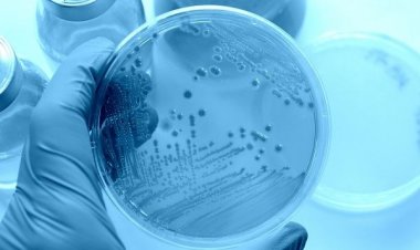 Ανακαλύφθηκαν ιοί που «παράγουν» ινσουλίνη