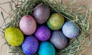 Ρίξτε βαφή αυγού μέσα σε ένα κυπελλάκι με ρύζι!! Δείτε τι θα γίνει όταν βάλετε ένα αυγό μέσα!! [Video]