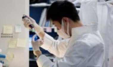 Επιστήμονες δημιούργησαν νέο υλικό για την επίδεση των τραυμάτων