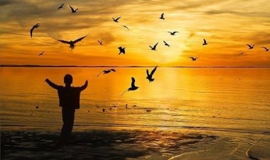 Ο Δρόμος του μαθητή χωρίς Δάσκαλο (Video)