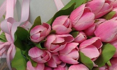 Τα "Μπράβο" που ξεχάσαμε να πούμε!!