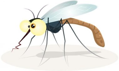 Mosquitoes: Οι 2 απλοί λόγοι που τα κουνούπια τσιμπάνε κυρίως… εμένα [Video]