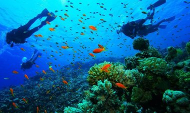 Στην τελική φάση το νέο νομοσχέδιο για τον καταδυτικό τουρισμό και τα καταδυτικά αξιοθέατα