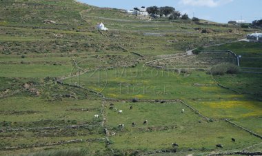 Επεκτείνεται η φορολογική βάση επιβολής του ΕΝΦΙΑ, στα Εκτός Σχεδίου Ακίνητα και Οικόπεδα
