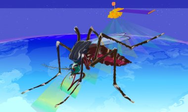 Οδηγίες στους ΟΤΑ για τα Προγράμματα Κουνουπιών 2020, από τον Εθνικό Οργανισμό Δημόσιας Υγείας [Έγγραφα]