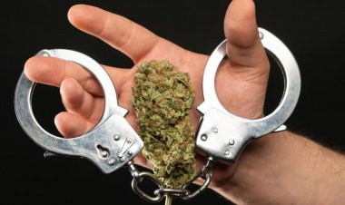 Μύκονος: Συλλήψεις για Παράνομες Οικοδομικές Εργασίες & Διωκόμενου για Ναρκωτικά