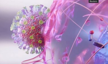 Coronavirus: Πώς ο κορονοϊός εισέρχεται και μολύνει τα ανθρώπινα κύτταρα!! Το πρώτο Video-Αναπαράσταση!!