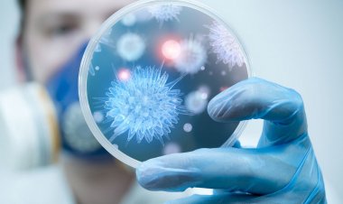 Coronaviris Pandemic: Γιατί δεν έχουν αυξηθεί οι θάνατοι, παρά την έξαρση κρουσμάτων και νοσηλειών