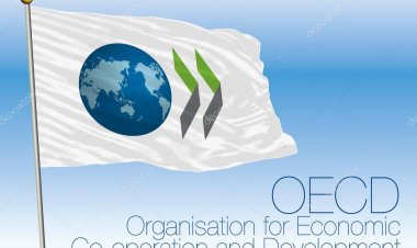 OECD: Ύφεση 8% της Ελληνικής οικονομίας το 2020!! Θα φτάσει στο 9,8% με δεύτερο κύμα πανδημίας!! [Έκθεση ΟΟΣΑ ]