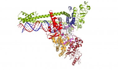 Coronavirus Disease: 75 νέα περιστατικά μόλυνσης - Τα  4 στις πύλες εισόδου, δύο νέοι θάνατοι