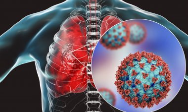 Coronavirus (Covid 19) Disease: 293 νέα περιστατικά μόλυνσης - 33 στις ΜΕΘ, πέντε νέοι θάνατοι
