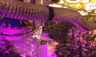 Mykonos: Εξάρθρωση κυκλώματος που «έσπρωχνε» κοκαΐνη και κάνναβη σε Μύκονο και Αθήνα