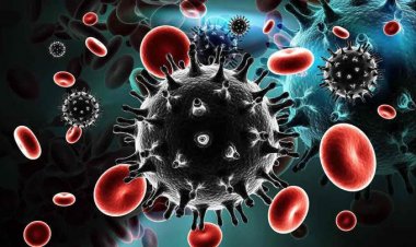 Coronavirus Disease: 302 νέα περιστατικά μόλυνσης – 53 νοσηλεύονται διασωληνωμένοι, δύο νέοι θάνατοι