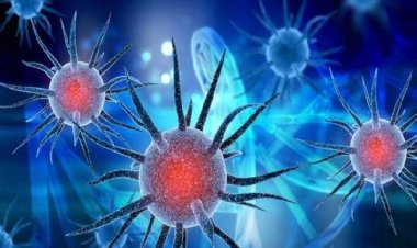 Coronavirus Disease: 310 νέα περιστατικά μόλυνσης – 67 νοσηλεύονται διασωληνωμένοι, τρείς νέοι θάνατοι