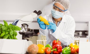 Food Safety & Hygiene: Σεμινάρια Υγιεινής και Ασφάλειας Τροφίμων στην Μύκονο για επιχειρηματίες και εργαζομένους από τον Ε.Φ.Ε.Τ.