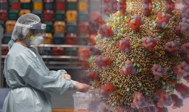 Coronavirus Pandemic: Αυτή είναι η ημέρα που οι διασωληνωμένοι θα πέσουν κάτω από 200 και θα αρθεί το lockdown