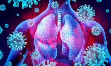 Coronavirus Disease: 526 νέα περιστατικά μόλυνσης –  505 νοσηλεύονται διασωληνωμένοι, 85 νέοι θάνατοι