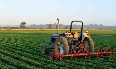 Support Farmers: Υπερψηφίστηκε η διάταξη που καθιστά αφορολόγητες τις ενισχύσεις λόγω κορωνοϊού που λαμβάνουν οι αγρότες