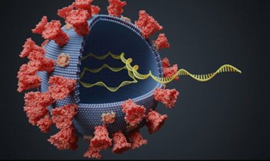 Coronavirus Mutation: Τι ισχύει για τη μετάλλαξη του κορωνοϊού - Οδηγίες στους πολίτες