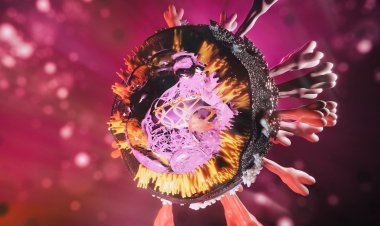 South Africa coronavirus variant - Γώγος: Υπάρχει πρόβλημα με τη νοτιοαφρικανική μετάλλαξη – Φόβος ότι δεν την «πιάνουν» τα εμβόλια