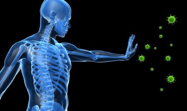 Coronavirus Disease: 880 νέα περιστατικά μόλυνσης –  346 νοσηλεύονται διασωληνωμένοι, 24 νέοι θάνατοι