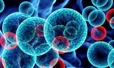 Coronavirus Disease: 877 νέα περιστατικά μόλυνσης –  569 νοσηλεύονται διασωληνωμένοι, 38 νέοι θάνατοι