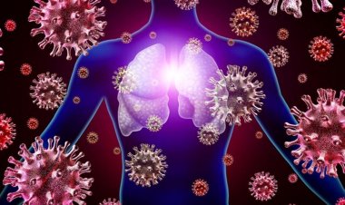 Coronavirus Disease: 2.785 νέα περιστατικά μόλυνσης, τα 11 στην Μύκονο – 649 νοσηλεύονται διασωληνωμένοι, 64 νέοι θάνατοι