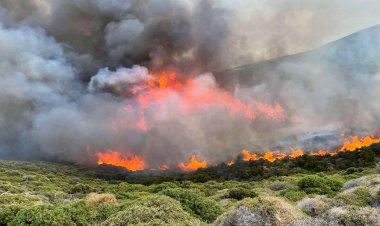 Andros: Φωτιά στην Ανδρο!! Ισχυροί άνεμοι στο νησί!! Ενισχύονται οι πυροσβεστικές δυνάμεις [Video]