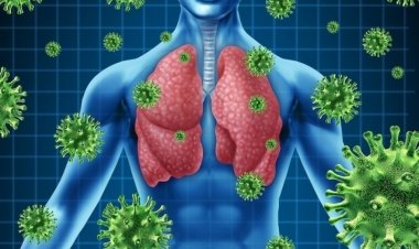 Coronavirus Disease: 61 κρούσματα στο Νότιο Αιγαίο -1578 κρούσματα σε Αττική, 435 σε Θεσσαλονίκη - Η κατανομή