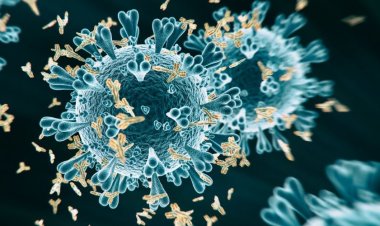 Coronavirus Disease: 2.801 νέα περιστατικά μόλυνσης, το 1 στην Μύκονο  –  781 νοσηλεύονται διασωληνωμένοι, 75 νέοι θάνατοι