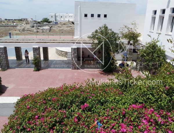 Academic Calendar 2026-27: Η εκκίνηση των μαθημάτων & ο αστάθμητος παράγοντας των εκλογών! Οι σταθμοί των αργιών, οι γιορτές και η αυλαία του έτους!   