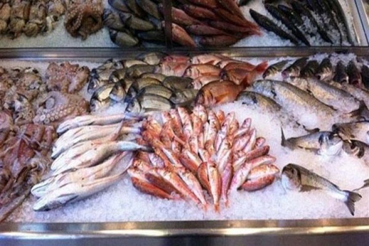 Νέα έκθεση του WWF: Η Ελλάδα εισάγει τα 2/3 των ψαριών που καταναλώνει!