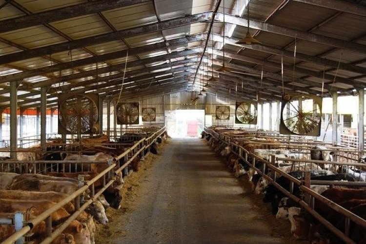 «Άδεια διατήρησης κτηνοτροφικών εγκαταστάσεων – Αιτήσεις μέχρι 4/12/2017»
