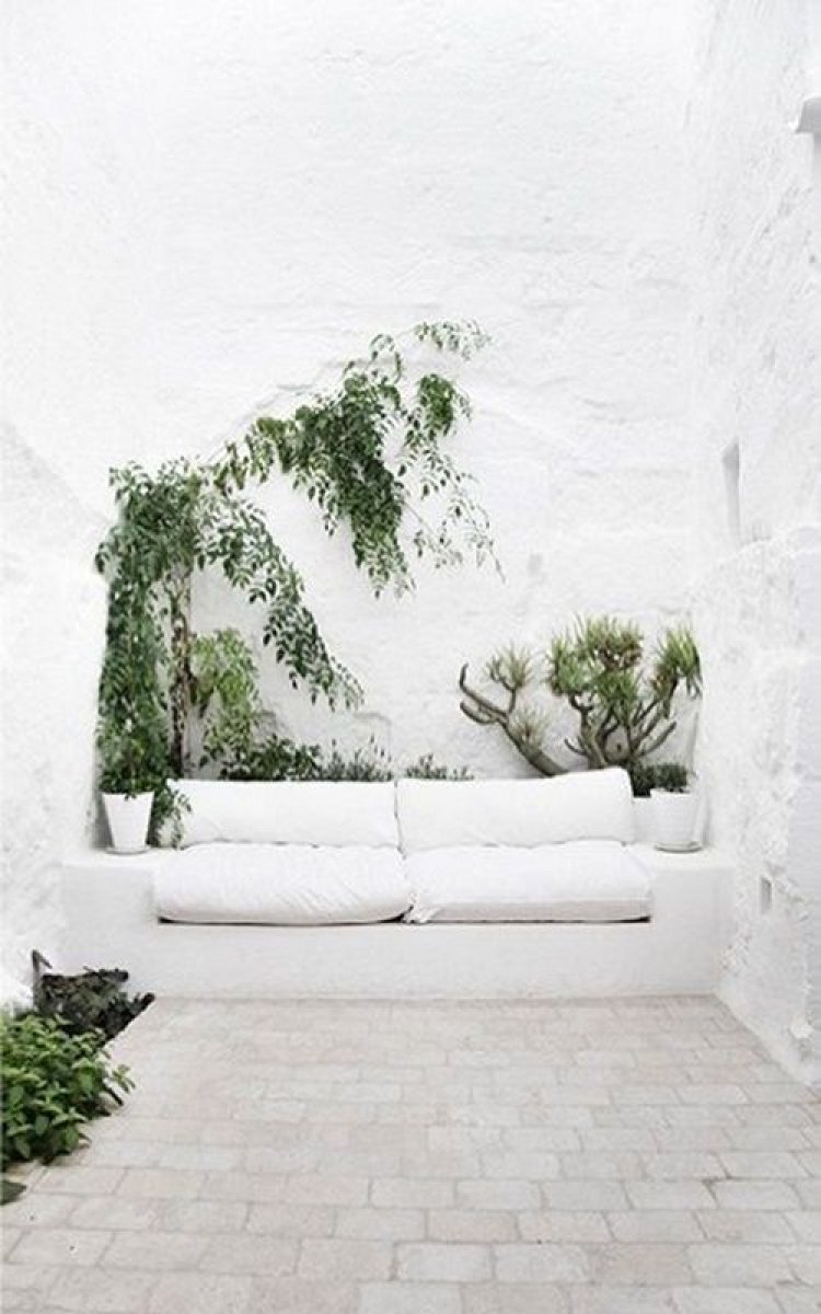 Διακοσμήστε με τον Elegan συνδυασμό: Λευκό και φυτά!!