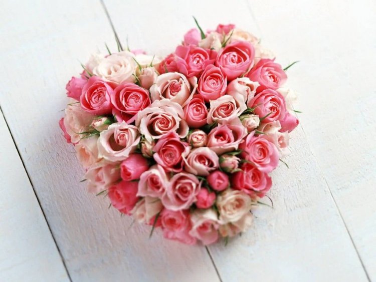 Valentine's day: Ο συμβολισμός των λουλουδιών!!