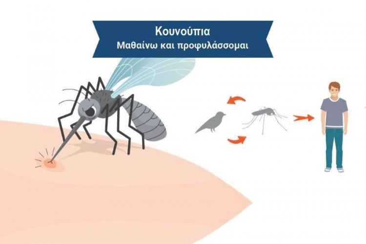 Πώς θα προστατευτείτε αποτελεσματικά από τα κουνούπια