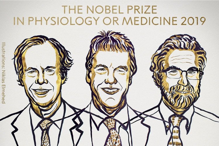 Νόμπελ 2019: Οι νικητές του βραβείου Φυσιολογίας και Ιατρικής "Για την κυκλοφορία του οξυγόνου στα κύτταρα"