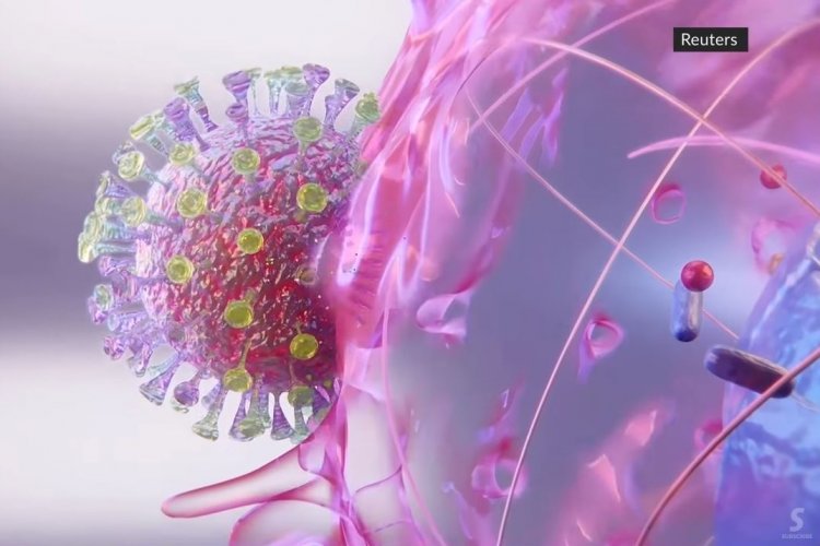 Coronavirus: Πώς ο κορονοϊός εισέρχεται και μολύνει τα ανθρώπινα κύτταρα!! Το πρώτο Video-Αναπαράσταση!!