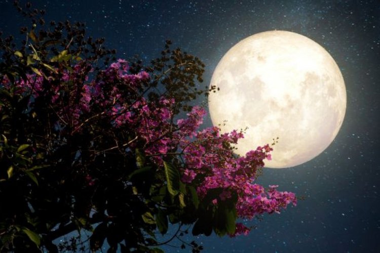 Full Moon: Το μεγαλύτερο φεγγάρι του 2020 σήμερα, λόγω της νέας «Πασχαλινής» υπερπανσελήνου