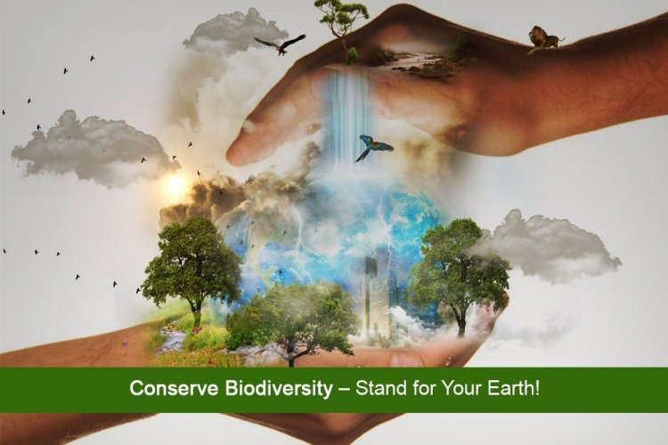 Παγκόσμια Ημέρα Περιβάλλοντος 2020!! Theme of World Environment Day 2020: "Biodiversity" [Video]