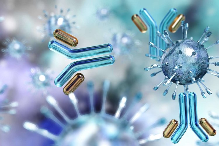 Coronavirus Testing: Στα σκαριά μοριακό τεστ από Έλληνες Επιστήμονες!! Από που μας ήρθαν τα εισαγόμενα κρούσματα!!