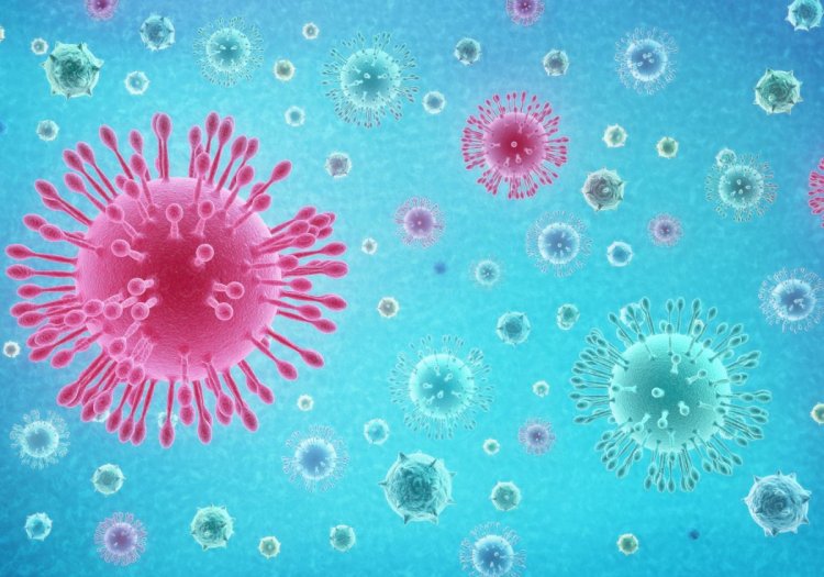 Coronavirus Disease: 204 νέα περιστατικά μόλυνσης – Τα 12 στις πύλες εισόδου, πέντε νέοι νέοι θάνατοι