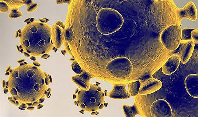 Coronavirus Disease: 217 νέα περιστατικά μόλυνσης – Τα 15 στις πύλες εισόδου, δύο νέοι θάνατοι